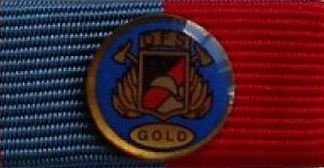 Deutsches Feuerwehrfitnessabzeichen in Gold